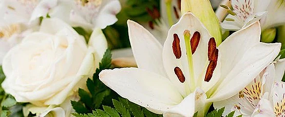 Funeraria de la Fuensanta flores